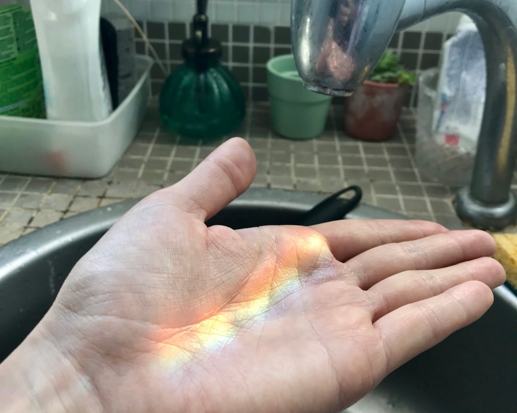 ロックダウン続く。。