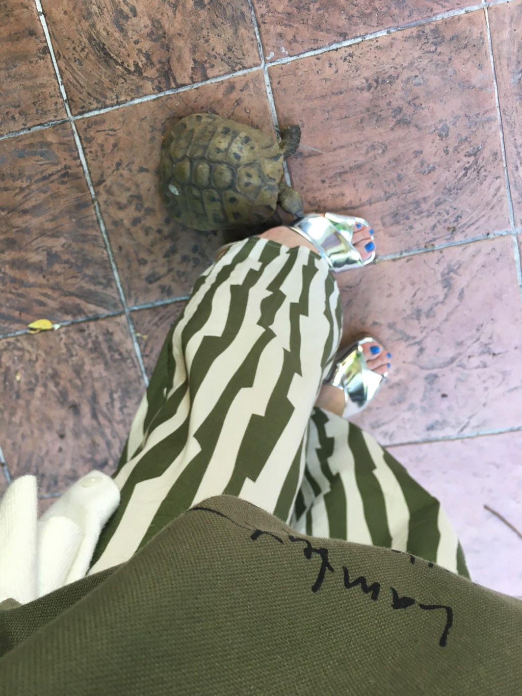 なごやかな休日🌱